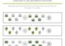 engaging math worksheets for middle school students